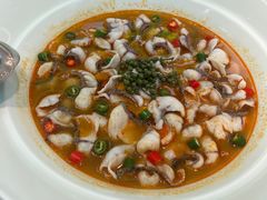 -青花椒花椒鱼(合生汇店)