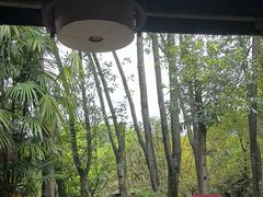 -土砂锅生态山庄·非遗砂锅雅鱼