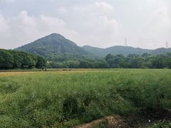 -八卦田遗址公园