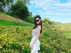 -白鹭湾湿地公园