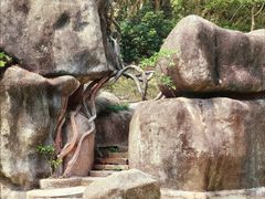 -深圳国际园林花卉博览园