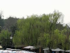 -三圣花乡旅游区