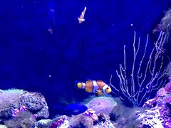 -成都浩海立方海洋公园