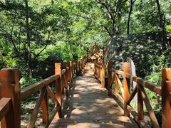 -大岭沟猕猴桃谷风景区