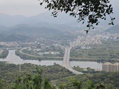 -风云岭森林公园