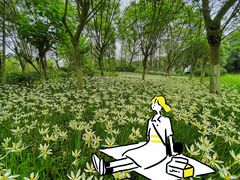 -白鹭湾湿地公园