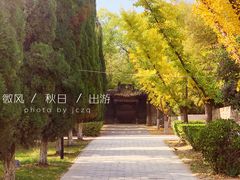 -函谷关历史文化旅游区