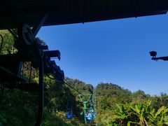-野象谷景区