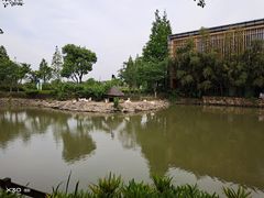 -田园东方蜜桃村的田野营地