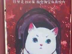 -纳吉亚猫专科动物医院博雅分院
