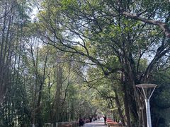 -凤凰沟景区