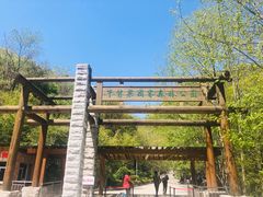 -牛背梁国家森林公园