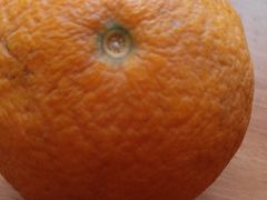 -乐乐鲜果(解放南路店)