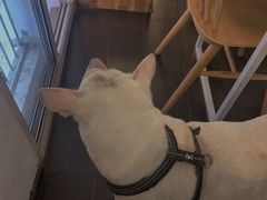 -Egg•Allday Brunch(襄阳北路店)
