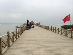-哈素海