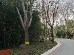 -郑州植物园