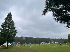 -黄海国家森林公园