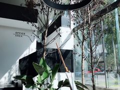 -桉树林A coffee 森林餐厅(三圣乡店)
