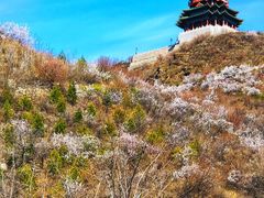 -定都峰