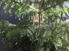 -海韵人家.海景花园经典云南菜(双廊店)