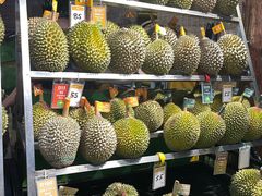 -榴莲BB 四季果园