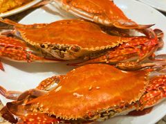 -禾斗海鲜自助(市南银座店)