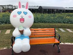 -迪茵湖田家舍生态农场