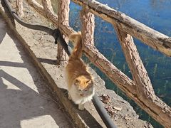 -沕沕水生态风景区