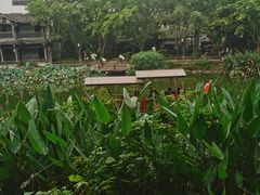 -黄龙溪古镇
