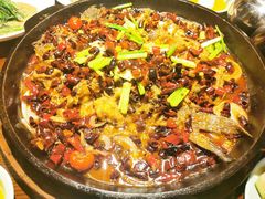-老板恋上鱼(高新万达店)