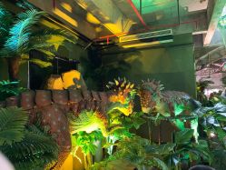 点击看大图 -恐龙探索乐园(磁器口店)