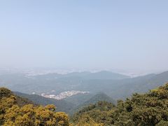 -梧桐山风景名胜区