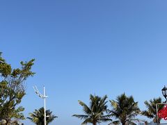 -港珠澳大桥(珠海段)