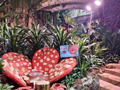 -正佳雨林生态植物园