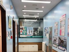 -瑞派·关忠动物医院·异宠专科·犬猫肿瘤·皮肤专科(望京店)