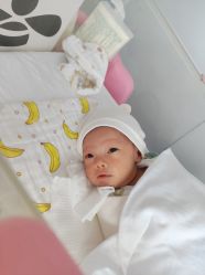 -喜宝悉贝月子会所(锦江店)