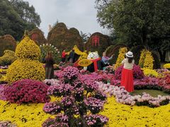 -南山植物园