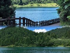 -武陵山森林公园