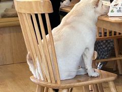 -柴の食堂·日式家庭料理·熊之肆(大学路店)