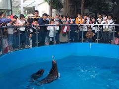 -石家庄市动物园