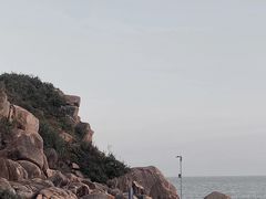 -广东惠东海龟国家级自然保护区