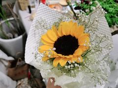 -Libra Flora花店(骆岗中央公园店)