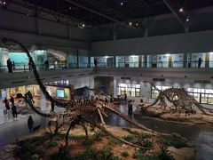 -自贡恐龙博物馆