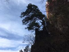 -塔云山