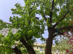 -山东省千佛山医院