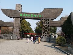 -溱湖国家湿地公园