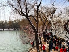 -颐和园-景明楼