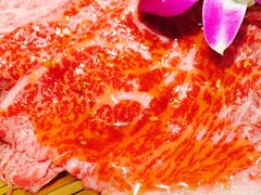 -俺的焼肉(銀座9丁目店)