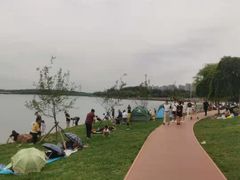 -丁香湖公园