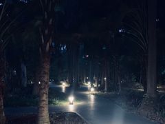 -南宁南湖公园